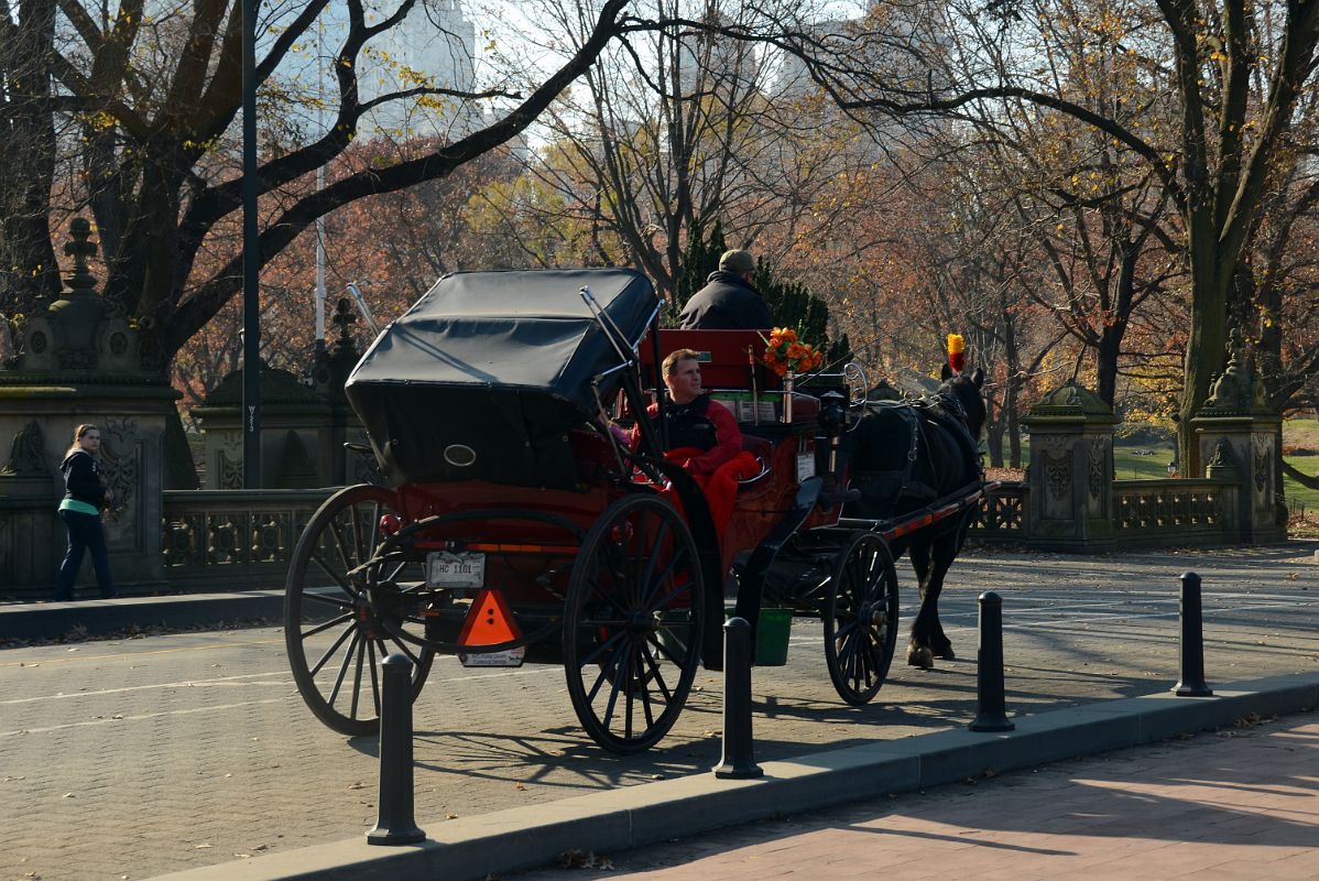 16J Taking A Horse And Carriage Ride Next To Bethesda Terrace Through Central Park In November
